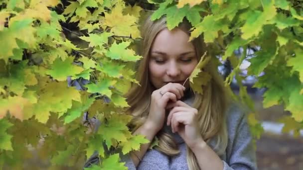 Fille dans le parc d'automne avec feuillage — Video