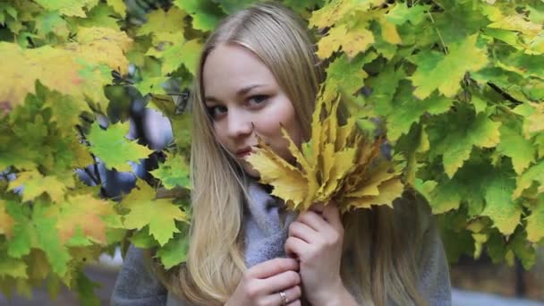 Chica en el parque de otoño con follaje — Vídeos de Stock