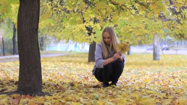 Chica en el parque de otoño con follaje — Vídeos de Stock