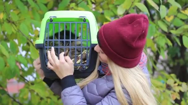 Menina segurando um recipiente com um gato — Vídeo de Stock