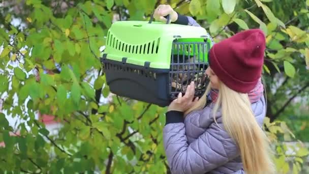 Meisje die houden van een kat drager met een kat — Stockvideo