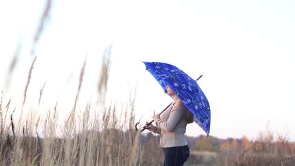 Mädchen mit Regenschirm steht auf dem Feld — Stockvideo