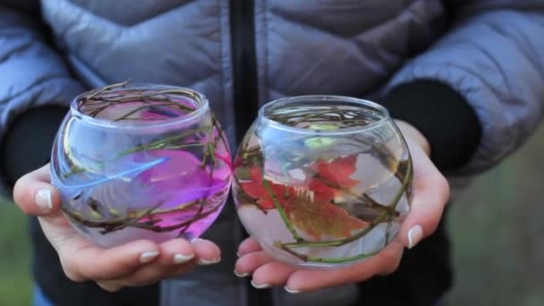 Decoratieve aquarium met bloemen en decoraties in vrouwelijke handen — Stockvideo