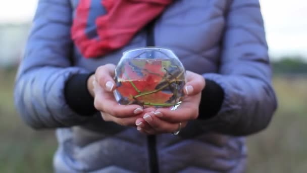 Декоративный аквариум с цветами и декорациями в женских руках — стоковое видео