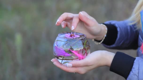 Decoratieve aquarium met bloemen en decoraties in vrouwelijke handen — Stockvideo