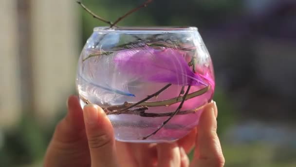 Vaso acquario decorativo con decorazione — Video Stock