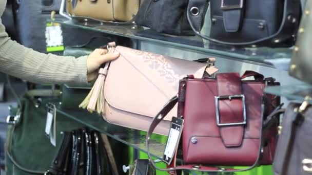 Женские руки в магазине выбирают рюкзак — стоковое видео