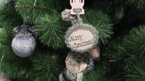 Різдвяні м'які іграшки на ялинці. Різдвяний рік свині — стокове відео