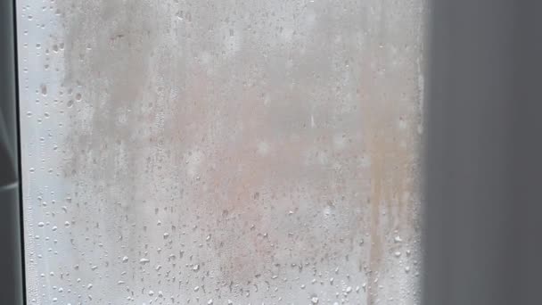 Rain drops on the window with closed tulle — Stock Video