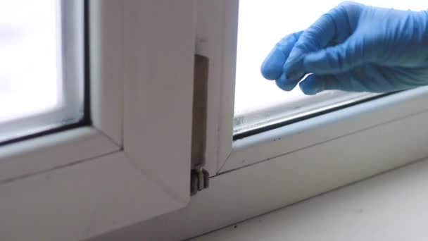 Weibliche Hand Einem Gummihandschuh Nahaufnahme Entfernt Den Fensterrahmen — Stockvideo