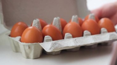 Parçalanmış durumdaki jeneratörün bileşenleri