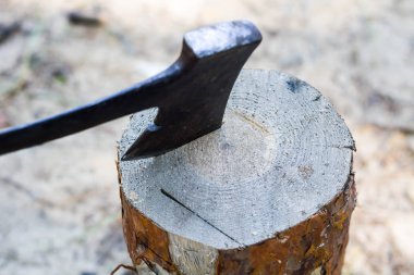 Balta kütüte sıkışmış. ormanda ahşap kütük. Ormansızlaşma adamı. Kesilen ağaç. Kütüküzerinde oduncular balta.