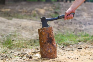 Balta kütüte sıkışmış. ormanda ahşap kütük. Ormansızlaşma adamı. Kesilen ağaç. Kütüküzerinde oduncular balta.