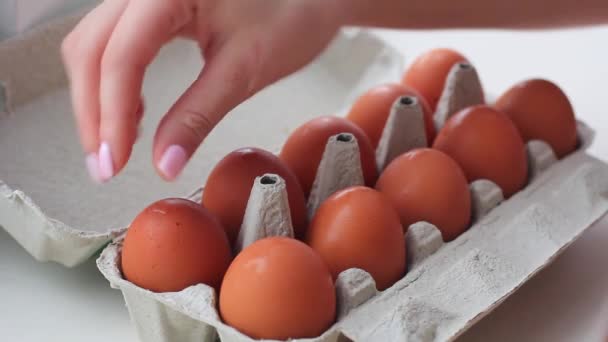 Женские руки с куриными яйцами в картонке — стоковое видео