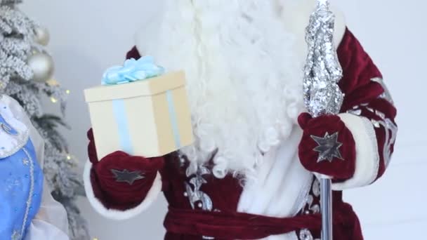 Santa Claus y Doncella de Nieve con un regalo cerca del árbol de Navidad de Año Nuevo — Vídeos de Stock