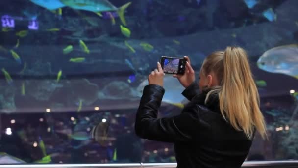 Γυναίκα φωτογραφίζει εξωτικά ψάρια σε ένα μεγάλο ενυδρείο σε ένα smartphone — Αρχείο Βίντεο