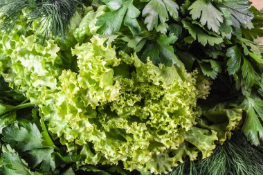 Taze kokulu dereotu ve maydanoz marul yaprakları ile bir sürü. Vejetaryen ve çiğ gıda. Sağlıklı gıda. Yeşil ve doğal yemekler. Fitness baharat ve iyi yemek için soyunma.