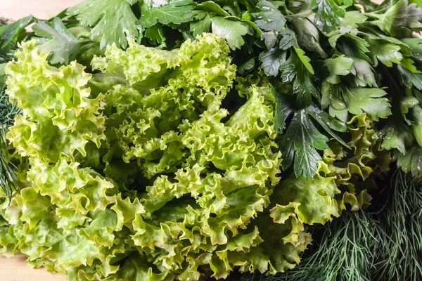 Taze kokulu dereotu ve maydanoz marul yaprakları ile bir sürü. Vejetaryen ve çiğ gıda. Sağlıklı gıda. Yeşil ve doğal yemekler. Fitness baharat ve iyi yemek için soyunma.