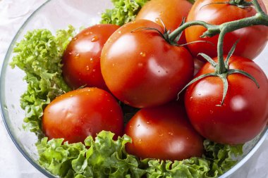 Taze kokulu salata domates, salatalık, soğan, maydanoz, dereotu ve marul ile bırakır. Vejetaryen ve çiğ gıda. Sağlıklı gıda. Yeşil ve doğal yemekler. Fitness baharat ve iyi yemek için soyunma.