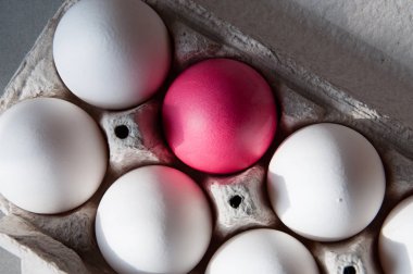 Paskalya yumurta bir yumurta tepsisinde