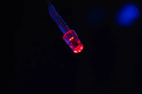 Red LED light Christmas garland close-up macro bokeh