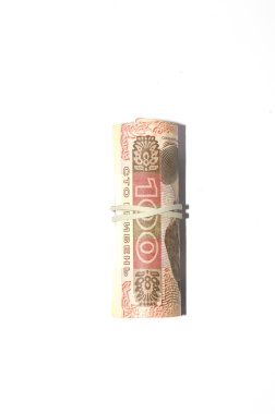 Beyaz arka plan üzerinde izole banknotlar Ukrayna 100 hryvnia. Ukraynalı para