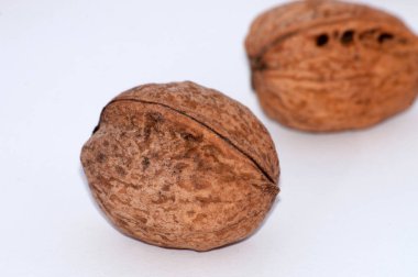 Ceviz üzerinde beyaz arka plan yakın çekim, makro