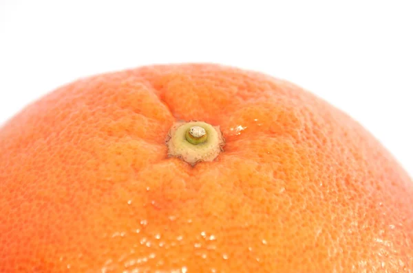 Toranja madura em um fundo branco espaço de cópia macro close-up — Fotografia de Stock