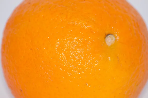 Macro orange sur fond blanc, texture écorce d'orange — Photo
