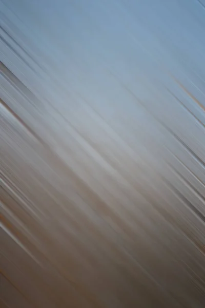 Lines in motion. Abstract calm pale gray background.