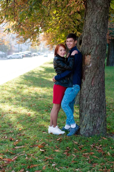 Joven y hermosa pareja enamorada, el chico y la chica están parados debajo de un árbol en un parque de la ciudad. Los amantes caminan por la mañana en el parque . —  Fotos de Stock