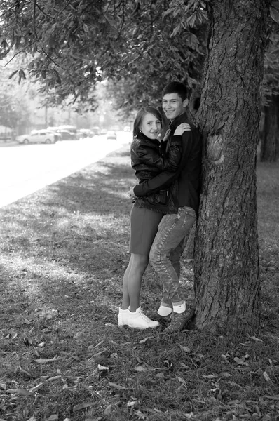 Unga vackra par förälskade, killen och flickan står under träd i en stadspark. Lovers gå på morgonen i parken. Svart och vitt porträtt av ett förälskat par — Stockfoto