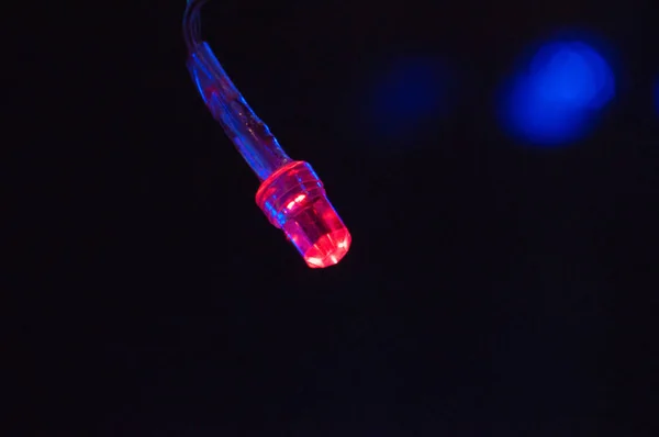 Red LED light Christmas garland close-up macro bokeh