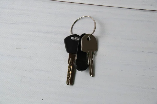 Schlüssel Für Die Wohnung Oder Das Haus Gegensprechanlage Schlüssel Auf — Stockfoto