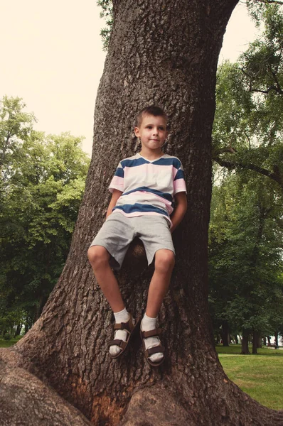 Boy Shorts Shirt Summer Park Sits Beautiful Old Tree — Stock Photo, Image