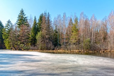 Ormanın yakınında bulunan bir rezervuar fotoğrafı