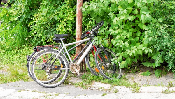 Zwei Alte Fahrräder Der Natur Gestützt Von Einer Rostigen Säule — Stockfoto