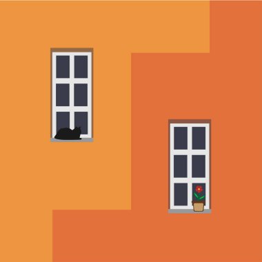 Bir kedi ve bir çiçek bir duvar ile pencere ile pencere