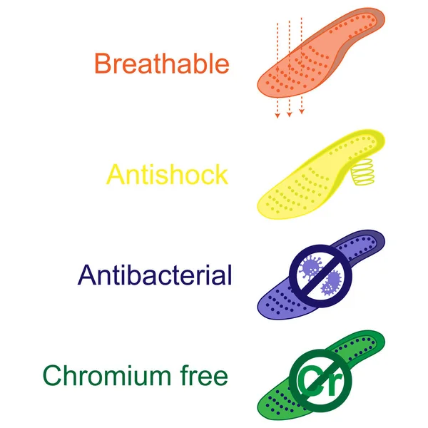 Cuatro Tipos Plantillas Zapatos Transpirables Antibacterianas Antichoque Libres Cromo — Vector de stock