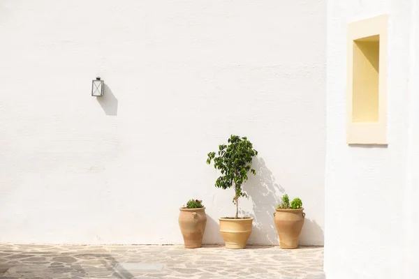 White wall with electric lamp and three flower pots