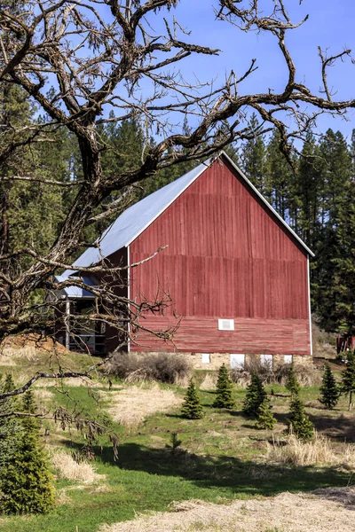 一座明亮的红色谷仓在北爱达荷州的小山上落下 — 图库照片