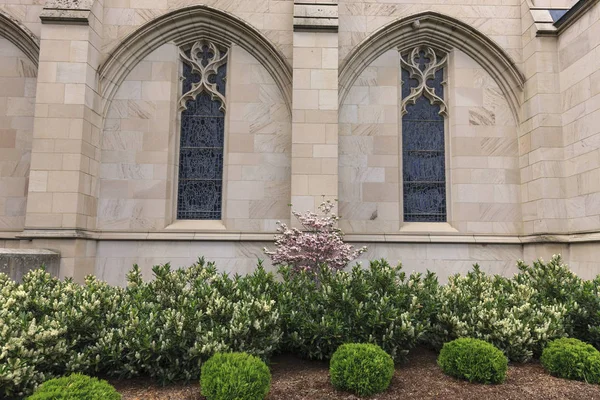 Windows Plantas Lado Johns Church Spokane Washington — Fotografia de Stock