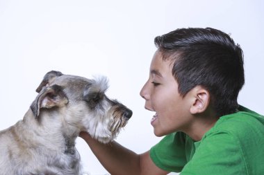 Bir çocuk ve bir minyatür Schnauzer bağ süredir birlikte bu stüdyo fotoğraf paylaşmak.