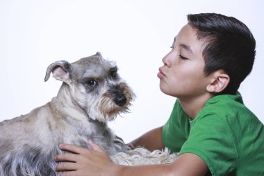 Bir köpek başı döner ve kamerayı öptü olmak istemediği için görünen bakar.