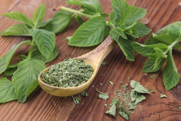 Display Dried Mint Leaves Spoon Surrounded Fresh Mint Leaves — Stock Photo, Image