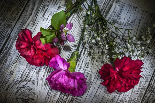 Tre Nejlika Blommor Trä Ljust Målade Studio — Stockfoto