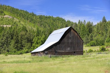 Harrison, Idaho yakınındaki güneşli bir günde bir ahıra giden çimenli alan.