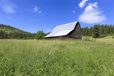 Harrison, Idaho yakınındaki güneşli bir günde bir ahıra giden çimenli alan.