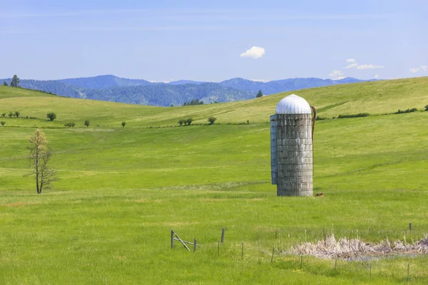 Spannmålssilo Står Högt Grön Äng Nära Harrison Idaho — Stockfoto
