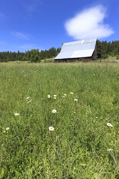 Louka Vedoucí Stodoly Slunného Dne Blízkosti Harrison Idaho — Stock fotografie